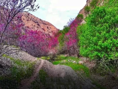 دره ارغوان مشهد